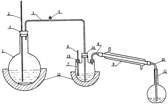 1454468137126767.jpg 食用菌標(biāo)準(zhǔn)第二版圖片.jpg
