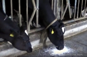 1499758572235857.jpg 調(diào)整大小 調(diào)整大小 備份照片加水印.jpg