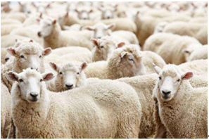 1602211880194073.png 1.png